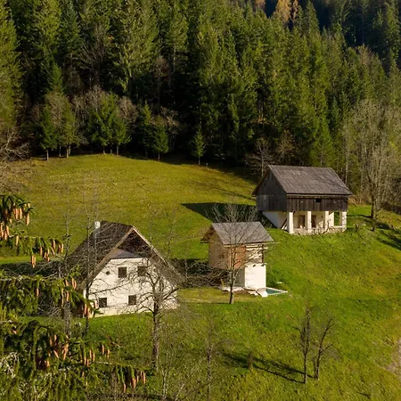 Alpine Contrapposto Solčava