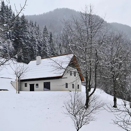 Vila Alpine Contrapposto *