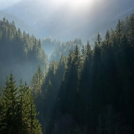 Alpine Contrapposto Willa *